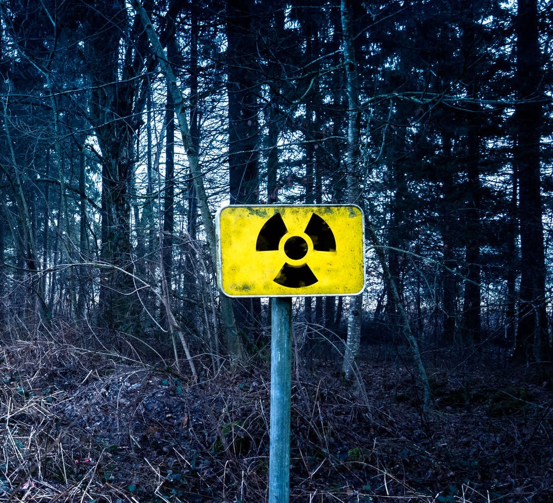 A picture of a dark forest with a warning sign in front of it because this article is about cybersecurity risk management.
