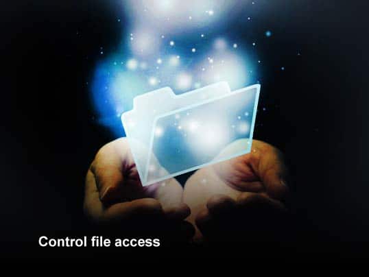 Top 10 Ways to Secure a Windows File Server: Tip # 8. Control file access.