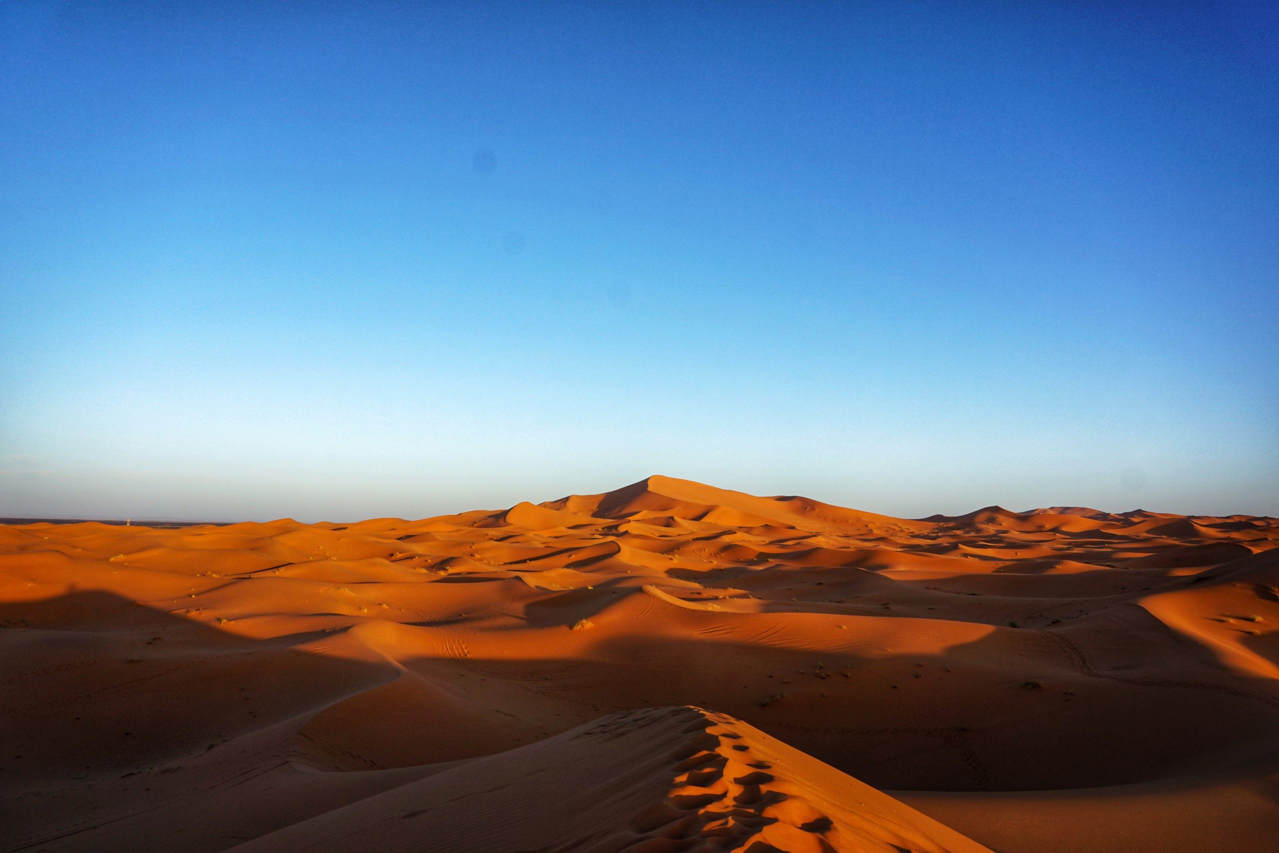 Malware can't survive in this desert