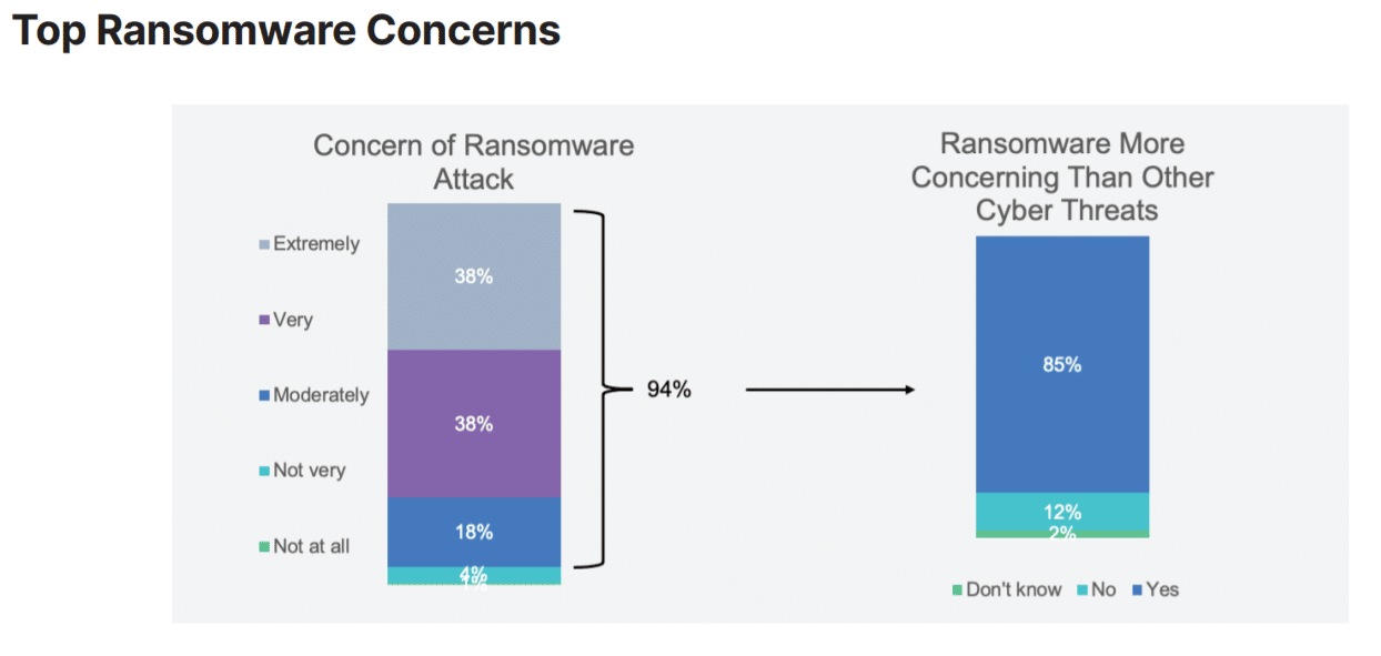 top ransomware concerns
