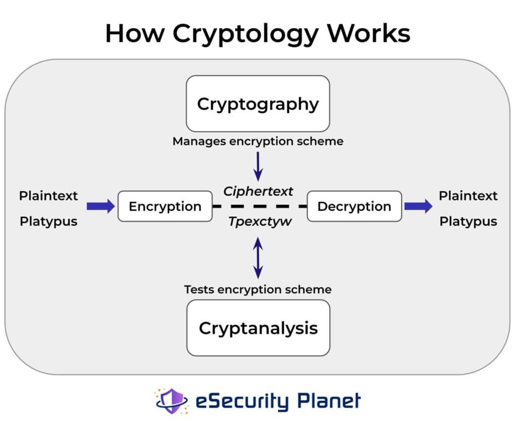 A graphic image showing the relationship between cryptography and cryptanalysis as a part of cryptology. The diagram shows plaintext gets encrypted through an encryption scheme creating a ciphertext, capable of being decrypted back to its plaintext form. Cryptographers manage the encryption scheme in the name of cryptography, as cryptanalysts test and penetrate the encryption scheme in the name of cryptanalysis.