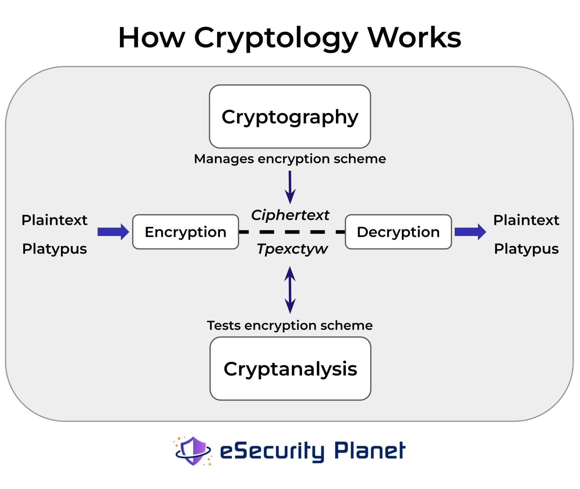 A visual diagram showing the relationship between cryptography and cryptanalysis.