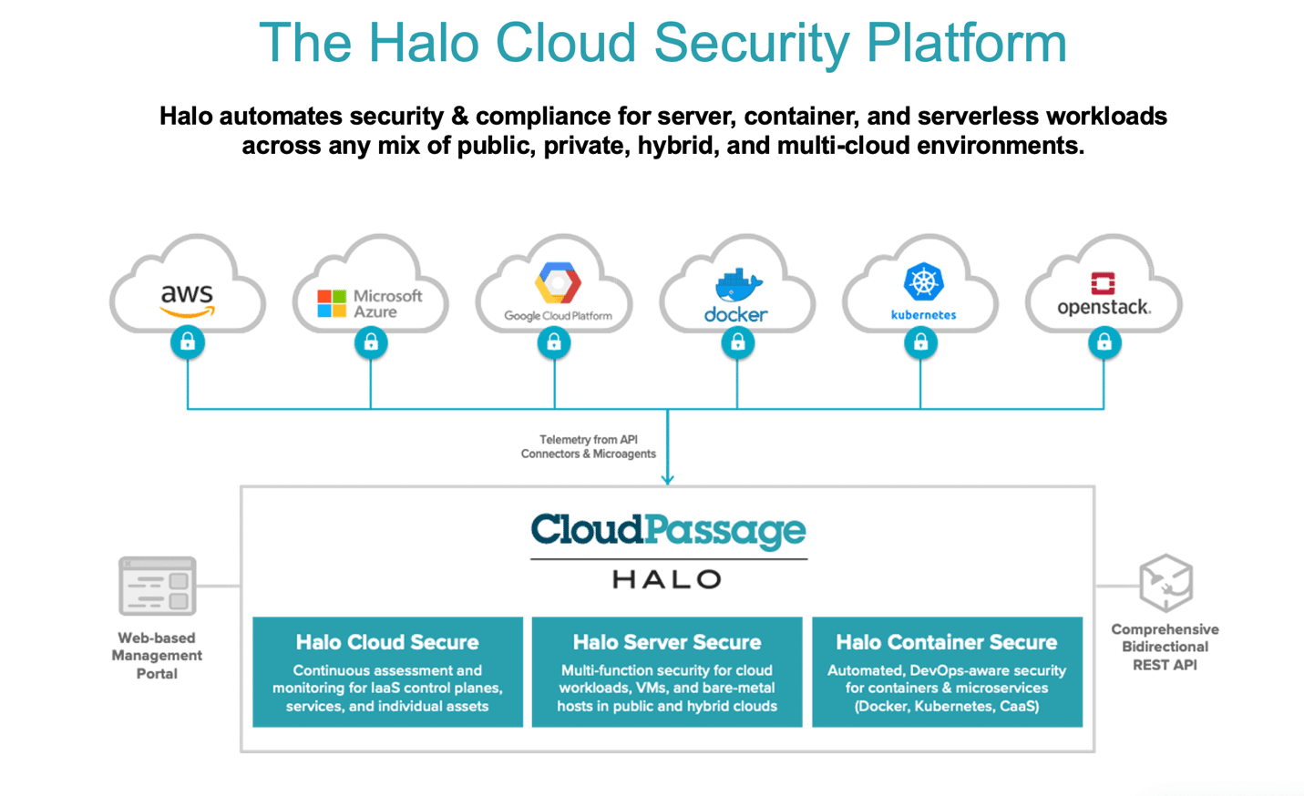 Fidelis CloudPassage Halo diagram